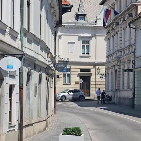 Apartman Elegant Bourgeois